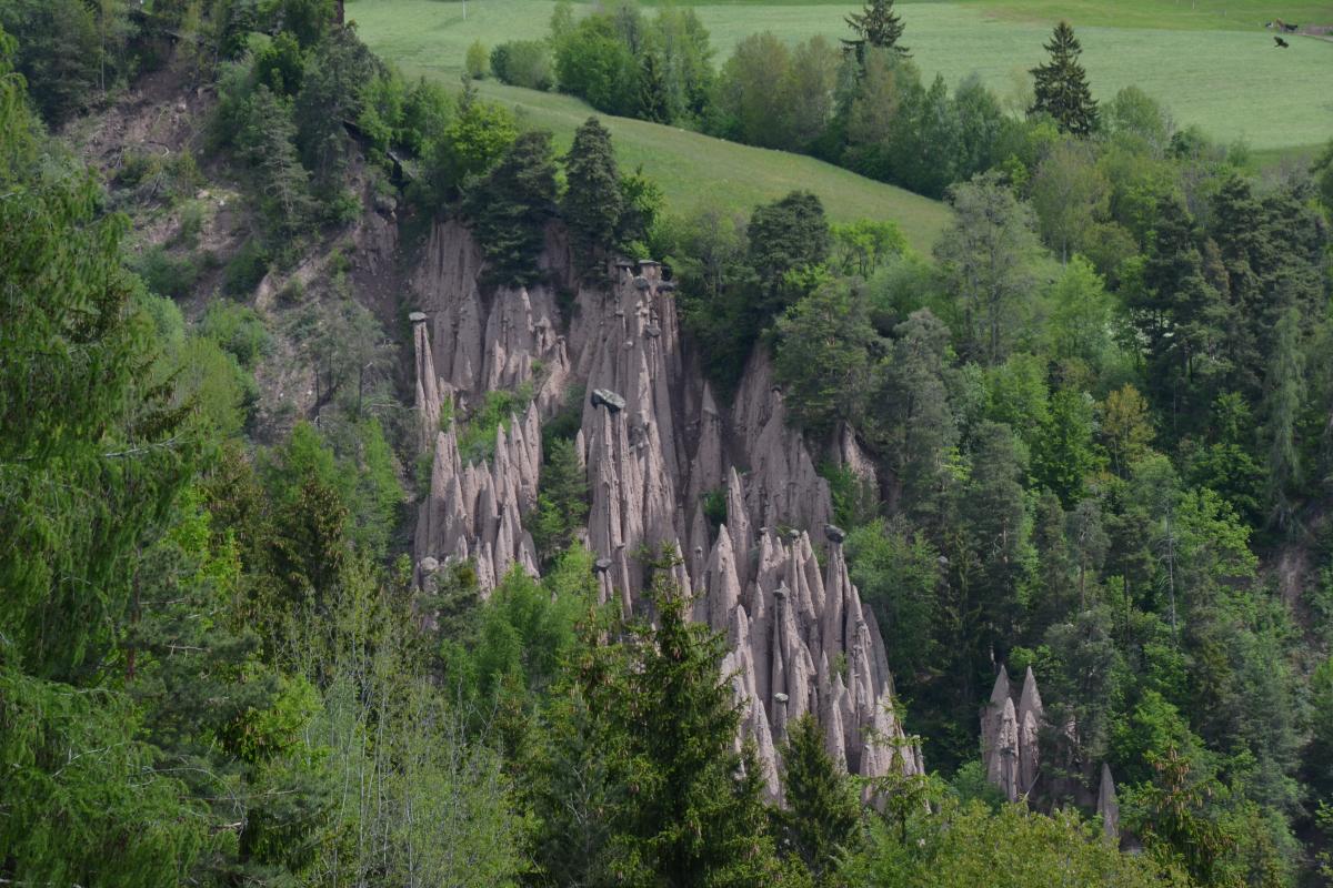 Zunerhof 31.05.2019